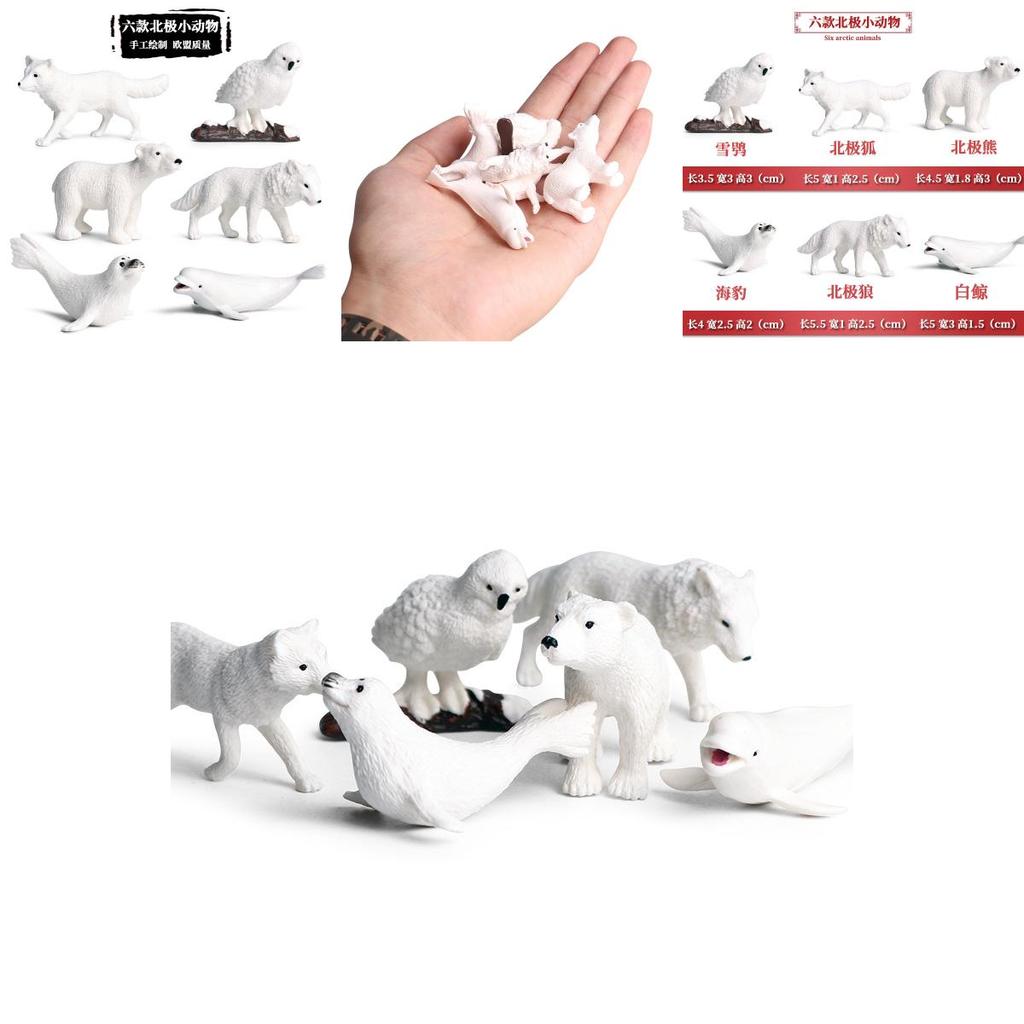 Marine Animal Replica Model Set With Plastic Material For Collectors And Kids