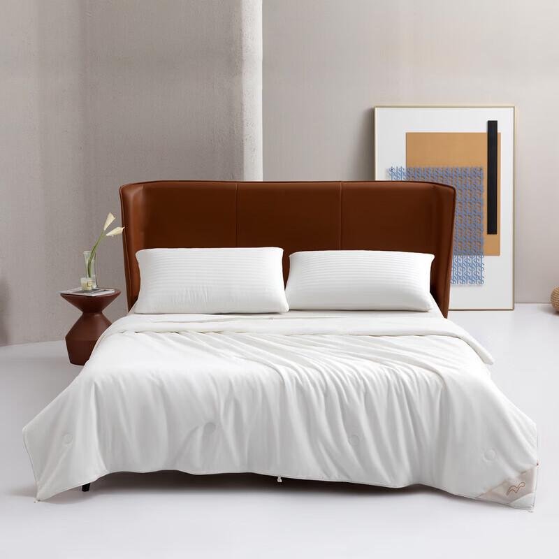 

Mercury Home Textiles Mulberry Silk Quilt