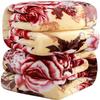 Thick Raschel Blankets for Autumn and Winter, Single and Double Size, Nap Blankets, Air Conditioning blankets1PCS