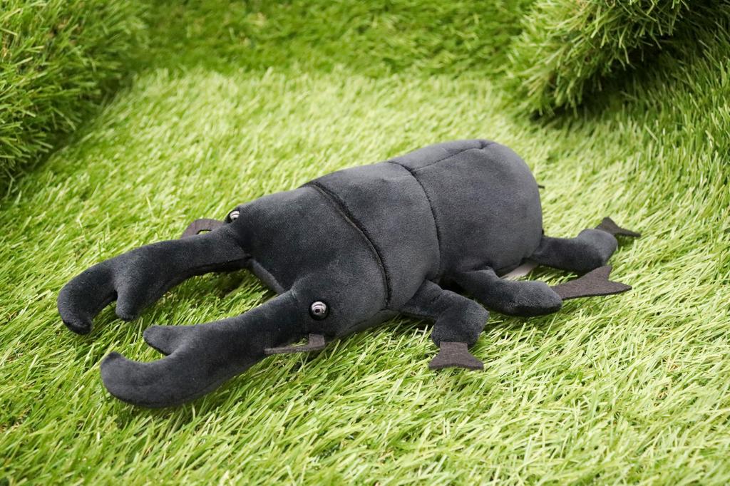 Takeoff Cotton Cloudy S Giant Stag Beetle