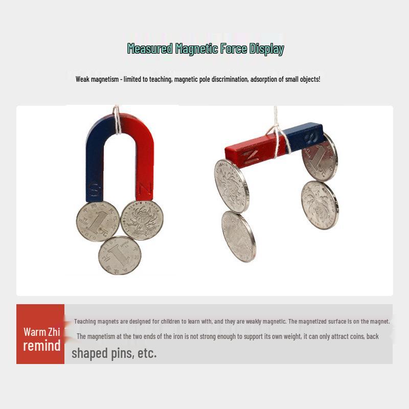 Educational Horseshoe and U-shaped Magnet Set for Kids