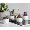 Tiita Purple Artificial Faux Succulents in Pots, Mini Purple Fake Plants for Women Desk, Small Realistic Faux Succulents for Home Office Accessories