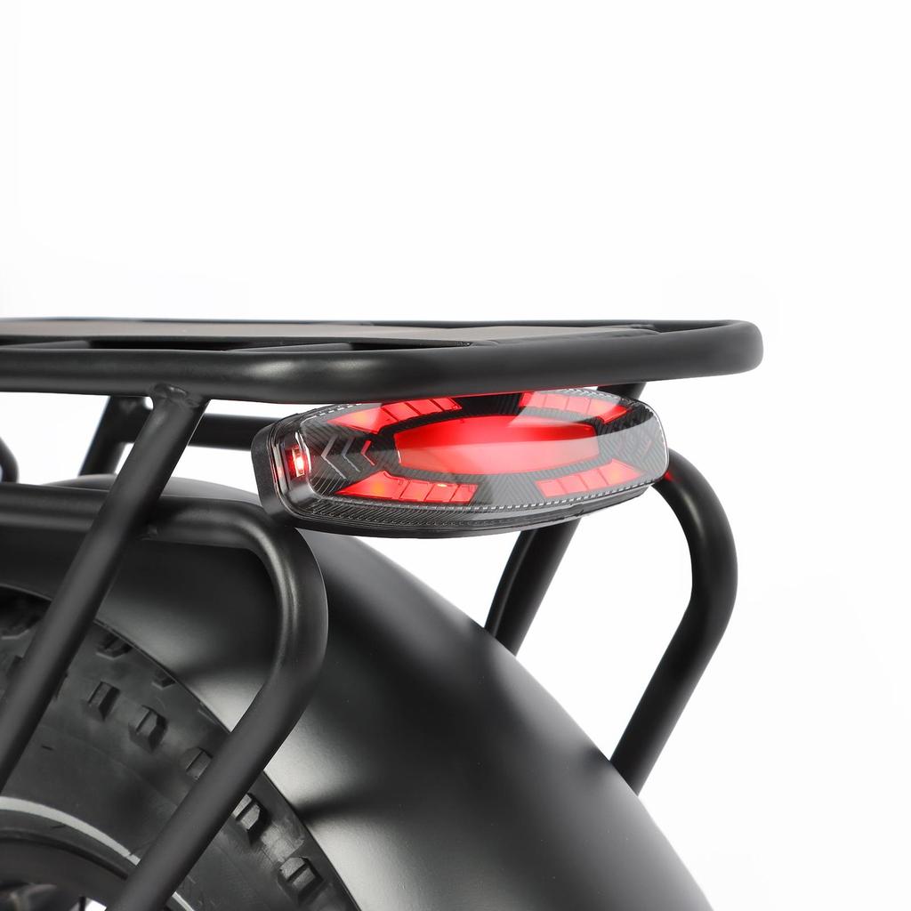 BAOLUJIE DZ-2030 Electric Bike 20*4.0'' Inch Tires 500W Motor 48V16AH Battery Max Speed 40KM/H Mechanical Disc Brakes