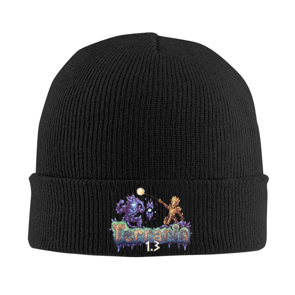 Great Model Terraria Game Christmas Bonnet Hats Beanie Hats Autumn Winter Graphic Knit Hat Street Y2K Men Women Sport Warm Cap