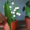 LED Lilies Night Whimsical Ambient Lighting For Bedrooms For Gifts