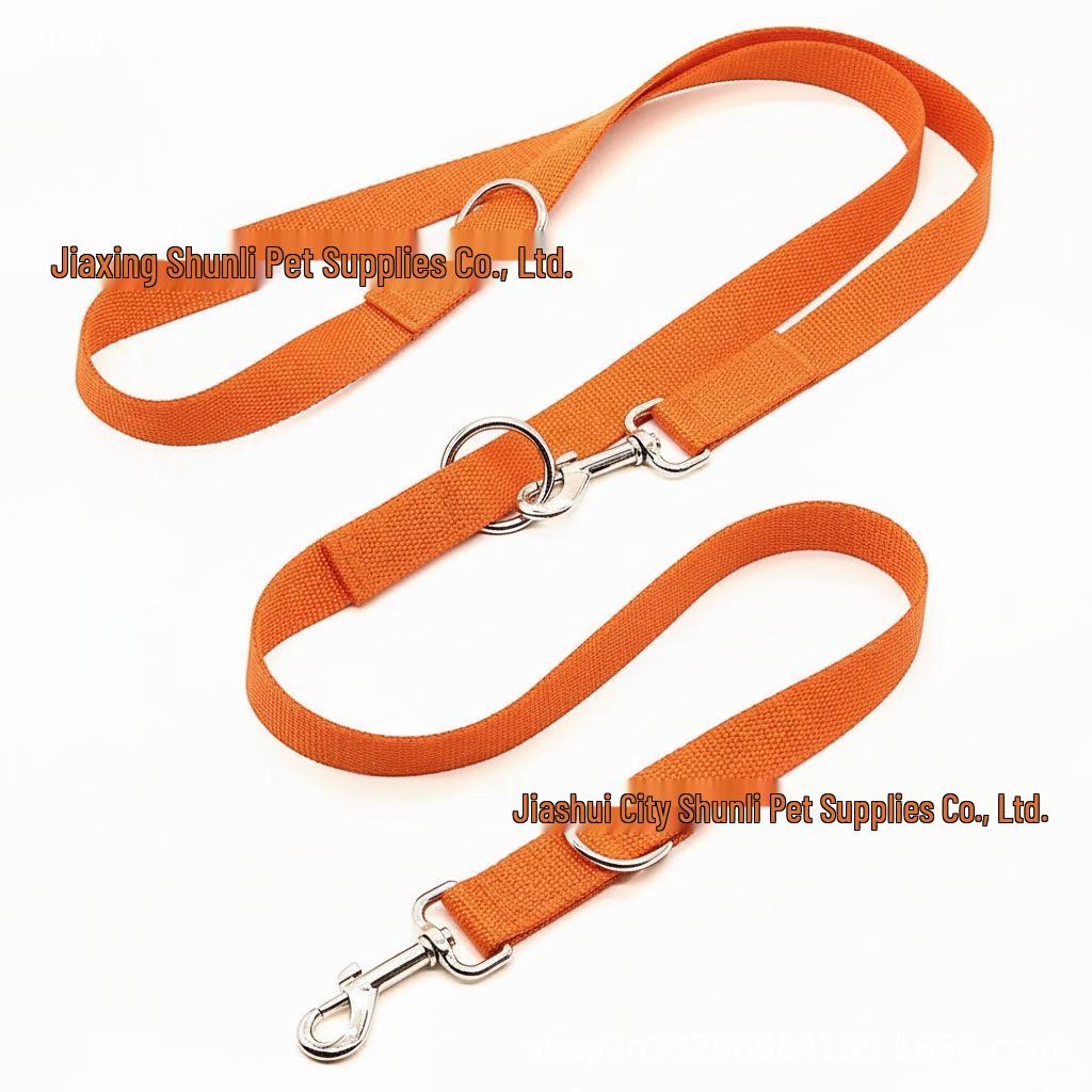 

Multi-Functional Outdoor Dog Training & Running Leash W 2.5cm x L 1.55m