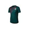 Puma Italy Training T-Shirt Stadium Euro 2020 'Green' Men's 757341-10