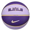 Nike LeBron Two Tone Basketball