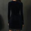 2025 Independent Foreign Trade Cross-Border European and American Retro Style Velvet Embroidered Lace Trim V-Neck Long-Sleeve Mini Dress
