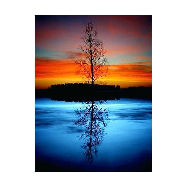 Gemartmall Pittura Ad Olio Per Adulti - Kit Dipingi Con I Numeri Aurora Paesaggio, Tela 40x50 Cm Con Colori E Pennelli, Idea Regalo Fai Da Te