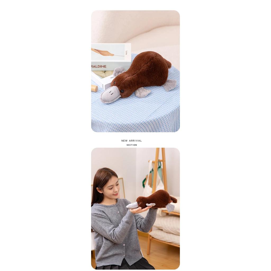 Peluche Ornitologo Giocattoli di Peluche Animali Ripieni di Simulazione Bambole in Posizione Sdraiata Cuscino Morbido Giocattolo Cartone Animato Kawaii Decorazioni per la Casa Regali di Compleanno per Bambini