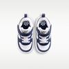 Nike Court Borough Low Recraft TD 'White Metallic Silver' Sneakers