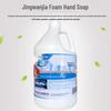 Jingwanjia 84 Disinfectant Foam Hand Wash, 3.785L