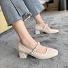 Fashion Mary Jane Shoes Women's 2024 New Spring Autumn Winter Shoes Thick Heel High Heels Square Head Fairy Style Korean Versatile Flats