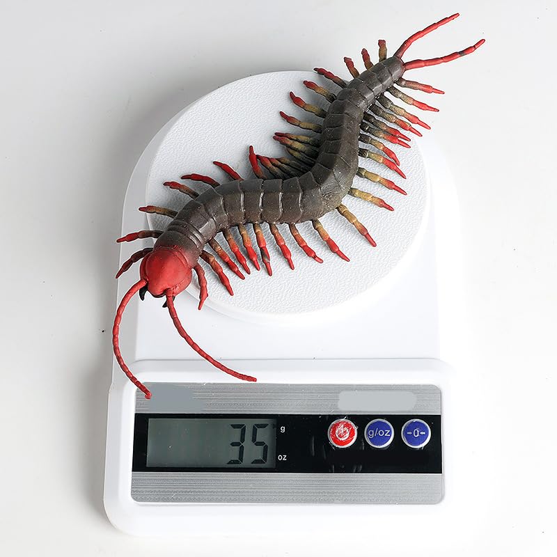 Centipede Centipede House Plastic TPR Birthday Interior Collectible [CRSHIP] Figure, Model, Chilopoda, Chiropoda, Toy, Arthropod, Model, Realistic,