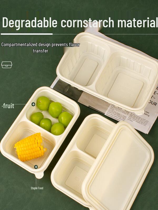 ZISIZ 2-Compartment Biodegradable Microwave Lunch Box