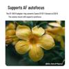 7artisans EF-EOS R Autofocus Lens Adapter for Canon RF Mount Cameras