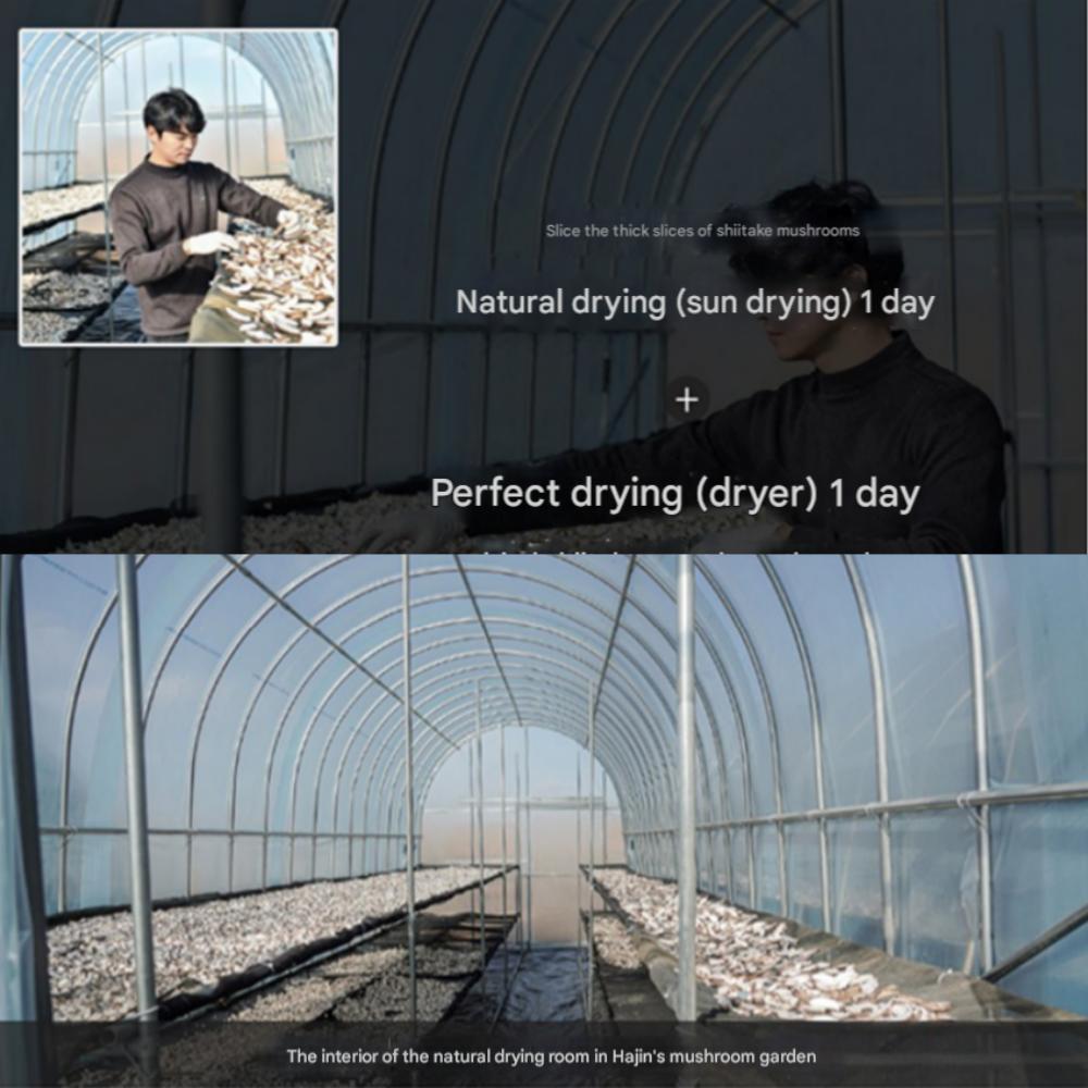 Organic, pesticide-free dried shiitake mushroom slices from Hajin's Mushroom Garden, 100g