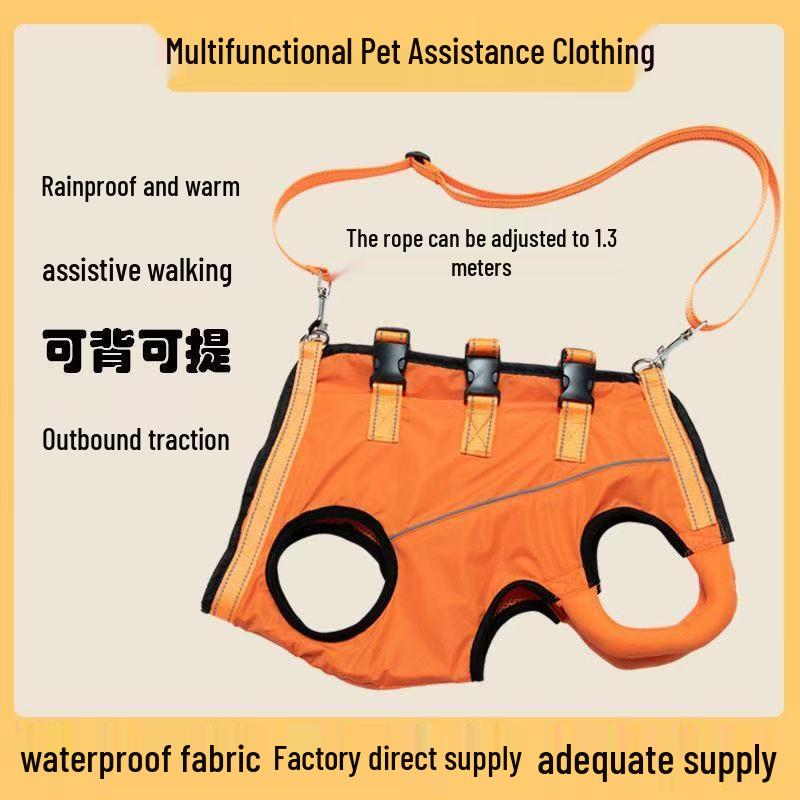 Pas wspierający tylną nogę starszego psa: Pomoc w poruszaniu się dla psów słabych lub kontuzjowanych