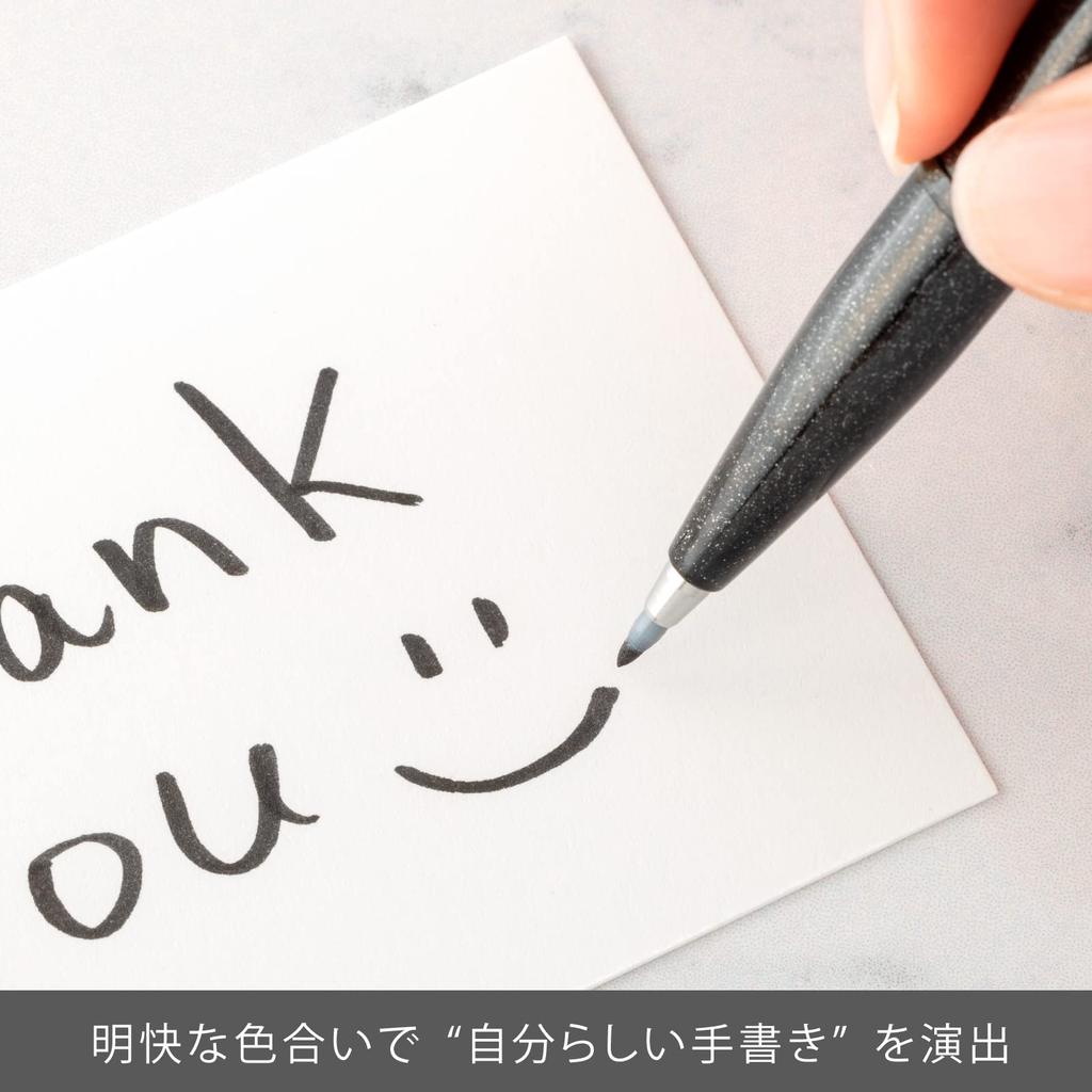 Pentel Signature Pen Brush Touch Set of 10 Black SES15C-A