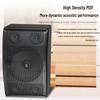 HuiDu CP-210 Professional 10-inch 3-Way Hi-Fi Speaker