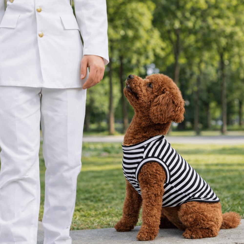 Soft Fabric Dog Cooling Vest Round Neck Puppy Short Sleeve Pet Striped T-Shirt  Spring Summer
