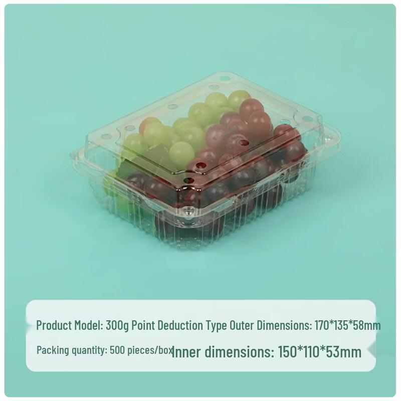 Disposable Plastic Takeout Food Container