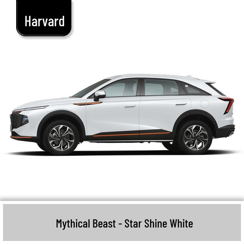 Haval Shenshou Auto Paint Repair Pen - Starry White & Extreme Night Black Touch-Up Pen