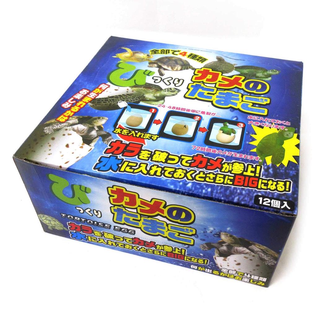 When you put it in the egg turns into a Surprise egg turtle 12 pieces display package water, turtle! 206-669