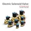 Conveniently Integrated Pneumatic Electric Solenoid Valve 2W 02508 DN08 12V 24V 220V for Diverse Piping Systems