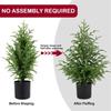 JUSTINLAU 2FT Artificial Norfolk Pine Cypress Leaves Potted Trees Tabletop Faux Tree Holiday Christmas Decor for Home or Office