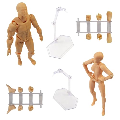Attractive Drawing Mannequins Body-chan and Body-kun 1/12 Scale Figure Doll Poseable Figure Manga Illustration Mannequin Drawing Doll Base Body Male F