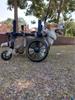 Four-Leg Support Dog Wheelchair for Rehabilitation and Mobility - Medium & Large Dogs