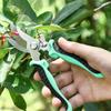 Professionelle scharfe Gartenschere Gartenschere Baum Blumenschere Trimmer Gartenschere Obstgärten Obstpflücker