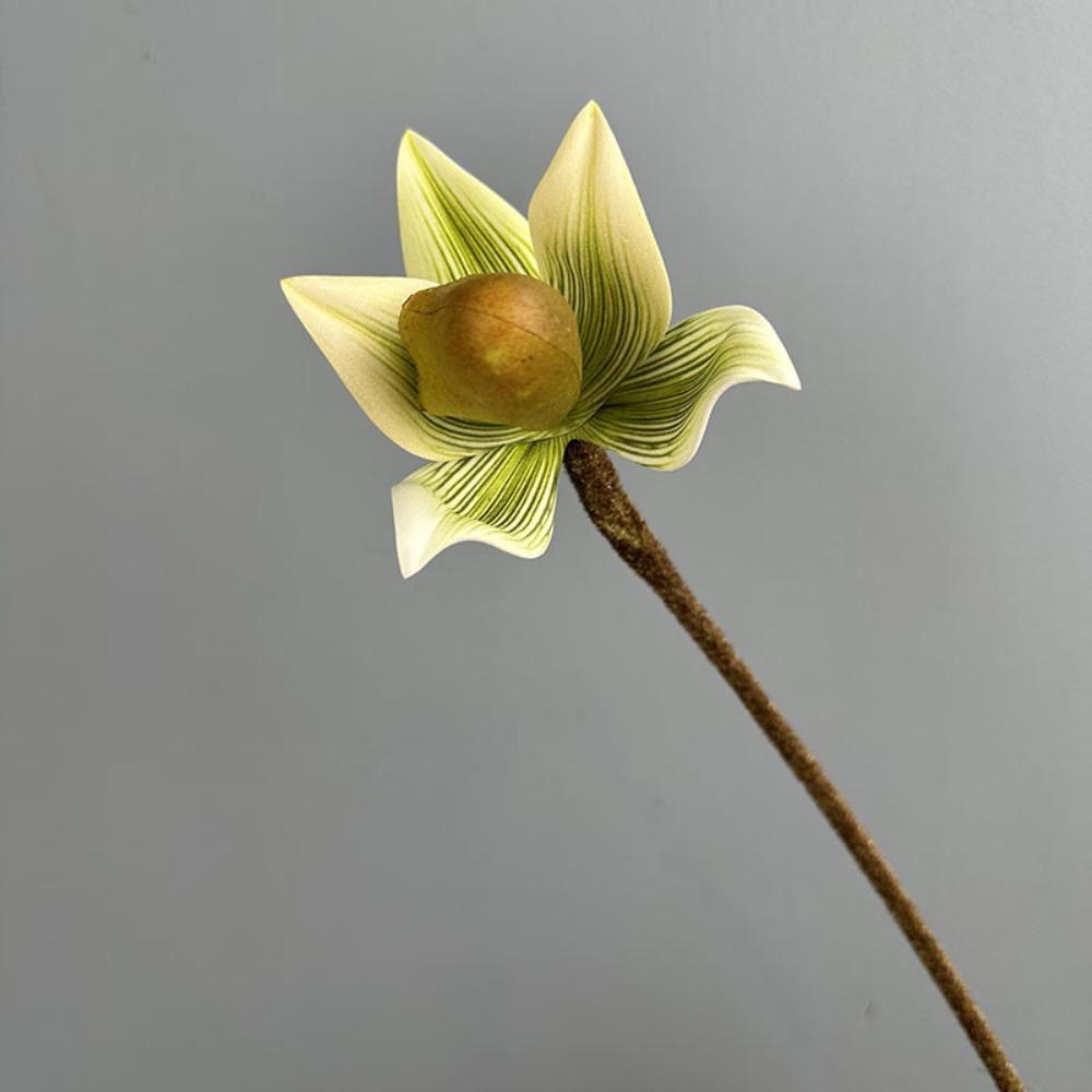 Single Branch Artificial Slipper Orchid Lifelike Silk Orchid Flower  Indoor Potted зелёный