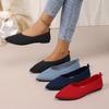 Flat Women's Shoes - Spring-autumn Pointed Toe Low-cut Single Shoes with Elegant Style