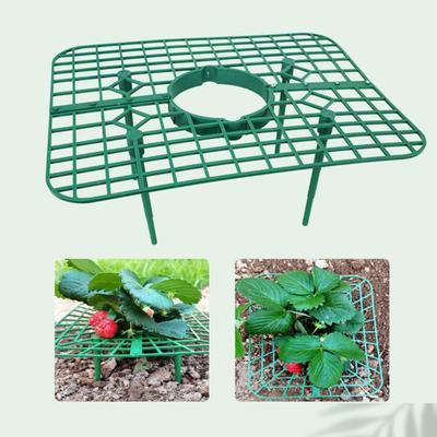Strawberry Plant Support Fruit Growing Frame Waterproof Hollow Design Detachable Simple Installation Strawberry Growing Rack