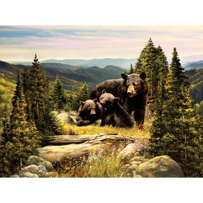 Diamond Painting Bear Family Pictures of Rhinestones Diamond Mosaic Sale Home Decoration