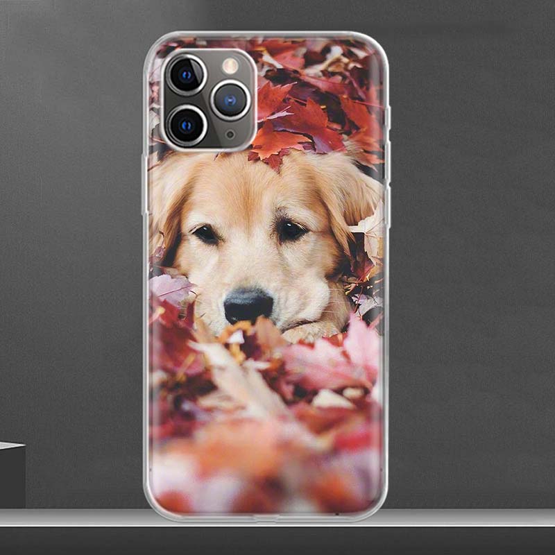 

Мягкий чехол для телефона Golden Retriever Friend для iPhone 11 12 13 Pro MAX XR X XS Mini Apple 8 7 Plus 6 6S SE 5S Fundas Coque Shell Co iPhone 11 Pro Max