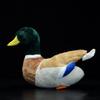 Simulation Cole Duck Plüschtier - Grüne Cole Ente Realistisches Stofftier Weiches Plüschtier 12 Zoll Realistische PP-Baumwolle Geschenk für Jungen und Mädchen Zuhause