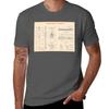 SPACEX Super Heavy Starship (Old Paper Grid) TShirt Trendy Pattern TShirt for Unisex