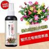 Ready-to-Use Nutrient Solution for Christmas Cactus and Indoor Plants—No Dilution Needed, Ideal for Flowers and Green Foliage.