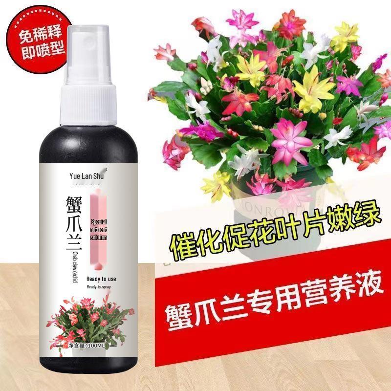 Ready-to-Use Nutrient Solution for Christmas Cactus and Indoor Plants—No Dilution Needed, Ideal for Flowers and Green Foliage.