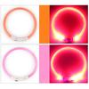 Collare per cani a LED Ricaricabile Luminoso Ricarica USB Cucciolo Collare Illuminato per Esterno