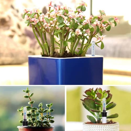 Ahvqevn 10-Pack Soil Moisture Meter, 20cm Plant Water Level Indicator, Water Level Indicator, Soil Moisture Meter, Sensor