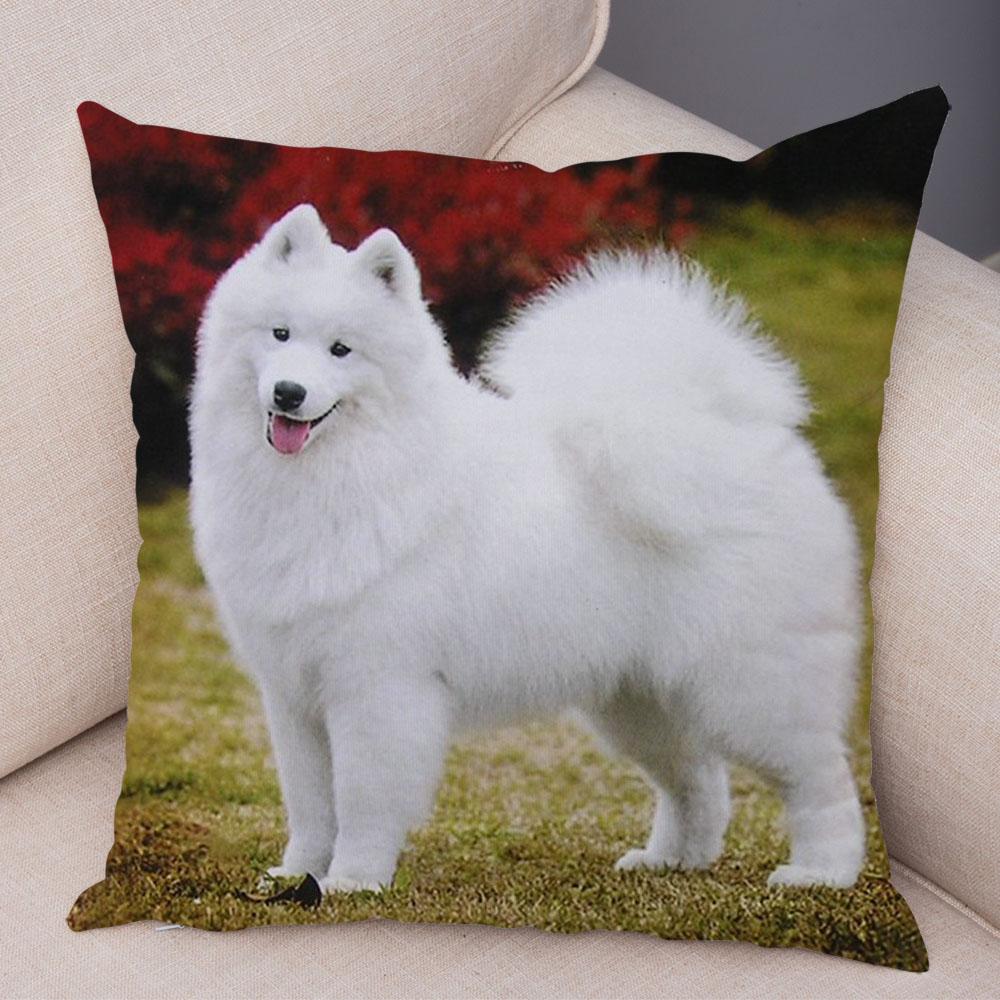 

50 Style Cute White Dog Samoyed Cushion Cover Decor Lovely Pet Animal Pillow Case Soft Plush Pillowcase for Sofa Children Room 40x40cm16x16Inch