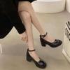 Fashion light luxury small leather shoes women's 2025 spring new retro versatile black light mouth thick heel non-slip Mary Jane shoes