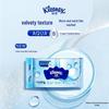 KLEENEX Portable Flushable Wet Wipes (10 Sheets X 10 Packs)