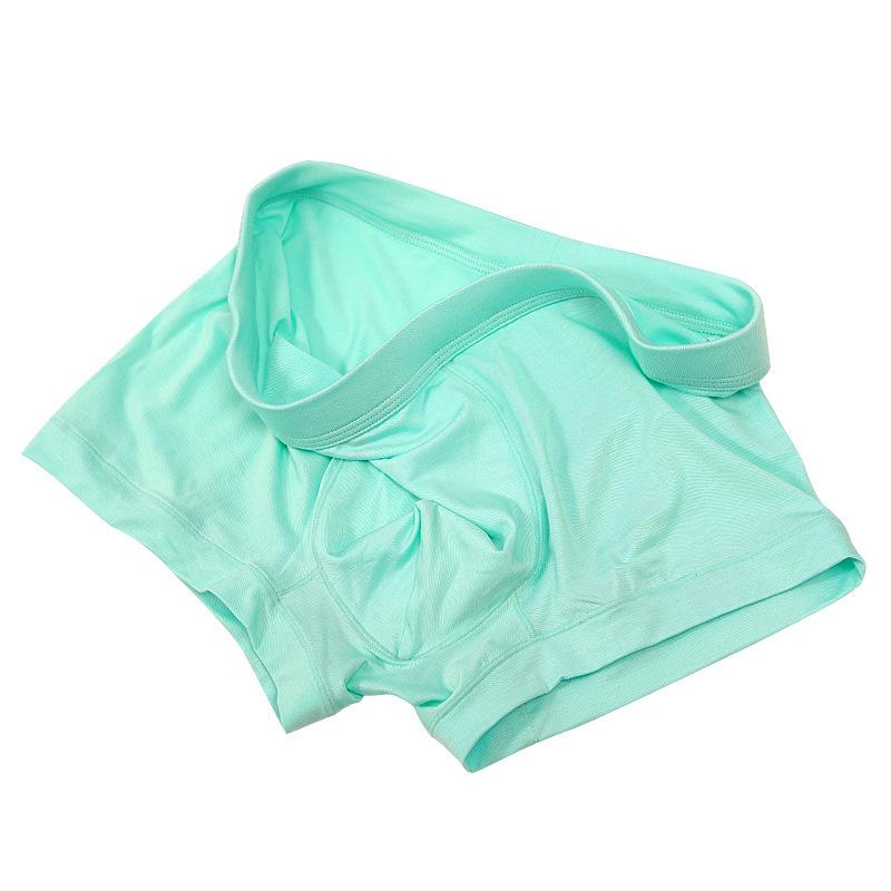 Panties for Man Underwear Sexy Breathable Soft Male Briefs Panty Sexy Transparent Men's Underpants