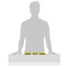 Takara Tomy Plarail S-07 Light-equipped 923 Type Doctor Yellow T4 Formation